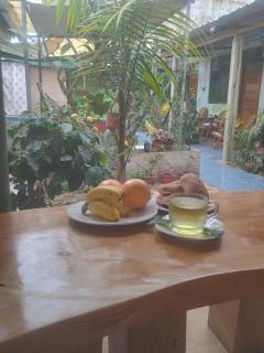 KORYARES HAUS-TAMBOPATA - 2