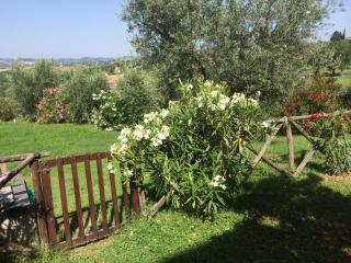 Agriturismo San Marco - Montefalco - 2