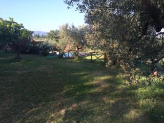 Agriturismo San Marco - Montefalco - 1