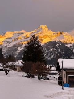Appartement familial dans Chalet aux Diablerets - 8