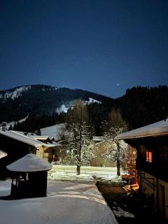 Appartement familial dans Chalet aux Diablerets - 1