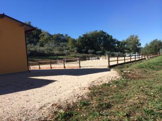 Agriturismo San Marco - Montefalco - 7