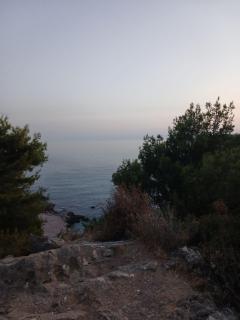 Mediteran1 - 1