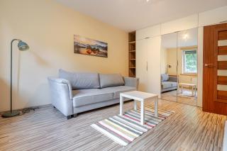 Spodek Cozy Studio by BookingHost - 1