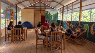 Jungle Camp - 6