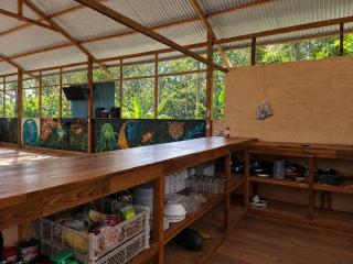 Jungle Camp - 4