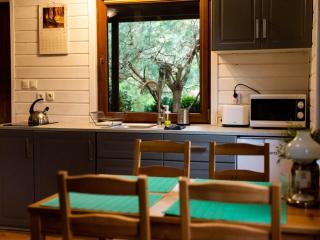 Holiday home with a fireplace and a large terrace - 4