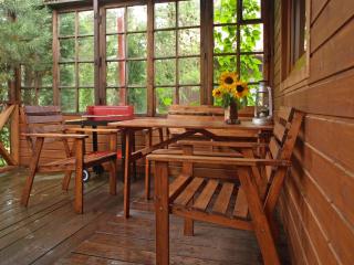 Holiday home with a fireplace and a large terrace - 3