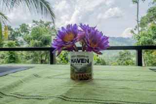Green High Point Haven Ella - 8