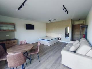 Borealix Inn Boutique Studios by Sonsuites - 3