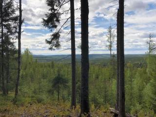 VAR116-Gunnarskog-Sundmanstorp-1 - 6