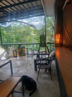La cafeteria galeria - 2