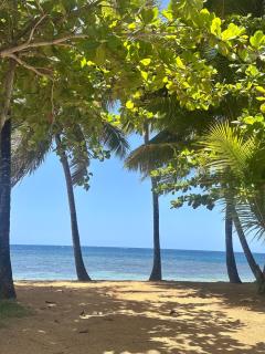 Beach Apartment at Portillo Beach, Las Terrenas - 8