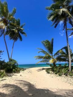 Beach Apartment at Portillo Beach, Las Terrenas - 7