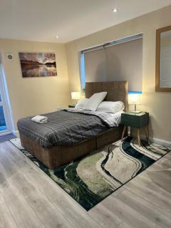 Beautiful private en-suite room with its own entry - 3
