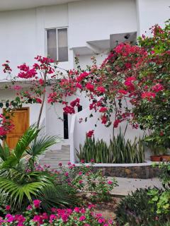 Bahía Garden - 0