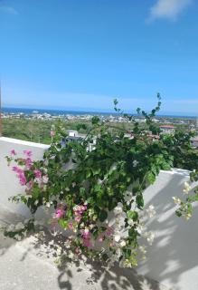 Bahía Garden - 5