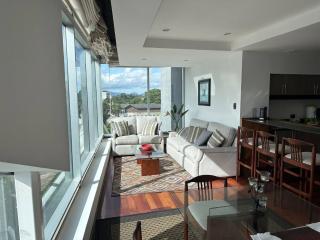 Chic 2BR, Las Amricas and City Views - 7