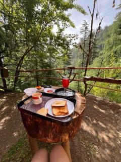 Jibhi Alpine heaven - 4