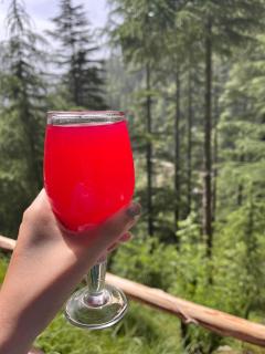 Jibhi Alpine heaven - 3