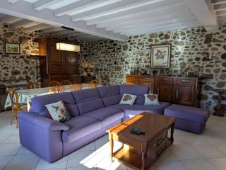 Gîte 17ème siècle avec piscine privée et jardin, animaux acceptés - 7