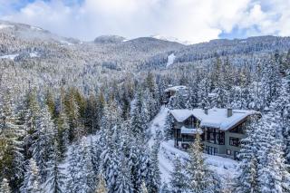 Slope-Side Chalet - Ski-In,Ski-Out with Hot Tub - 4