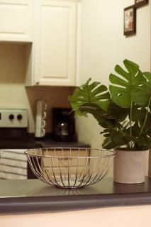 Apartment near USA Embassay, San Salvador - 7