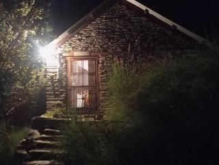 Jungle Homestay - 2