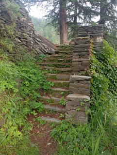 Jungle Homestay - 1