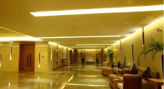 Yinchuan Ningdong Aolisheng Fern Boutique Hotel - 6