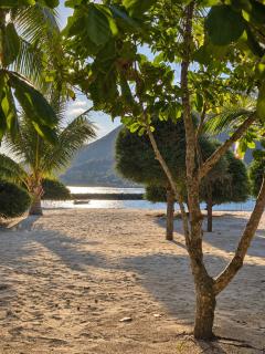 Phangan Chalet Bungalows - 6