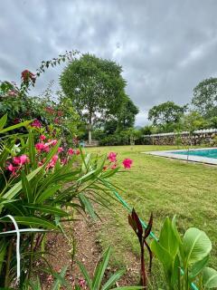 Valley View Madar Farmstay - 9