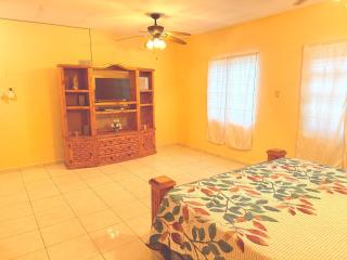 House for Family and Business Travel - 5