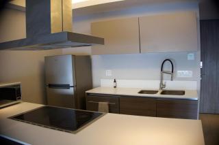 Modern Luxury Apartment Near Andares - 4