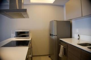 Modern Luxury Apartment Near Andares - 3