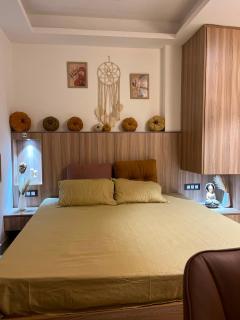 Lux terrace studio flat in sector 52 gurgaon with kitchen, balcony,bathroom - 0
