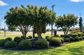 Quality Inn Blytheville - 8