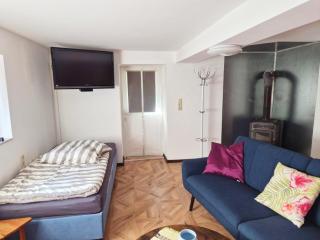 Geräumige Monteurwohnung in ruhiger Lage in Riedbach - 3