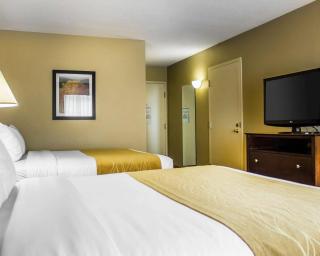 Comfort Inn & Suites - 3
