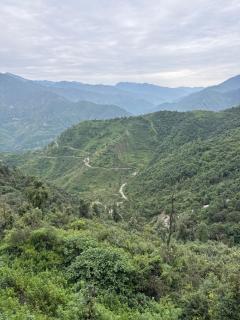Crest Himalayan Aura - 5
