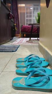 Nettos Haven - 2