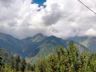 The Himalayan Cafe THC - 3