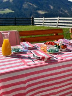 Farm in the Tyrolean Alps - 2