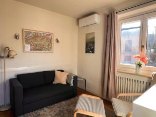 The Snowdrop Apartment Aosta Valley - 8