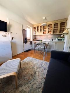 The Snowdrop Apartment Aosta Valley - 5