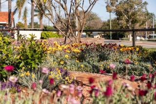 The Art Lovers Cottage in Mandurah 1BR - 7