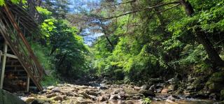 Namwon Along the Waterways of Jiri Mountain - 2