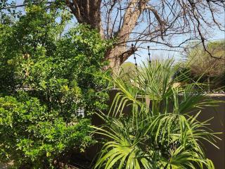 Woodpecker Guesthouse - 6