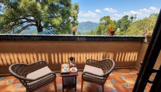The Camellia House - 8