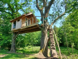 Stairway to the Meadow - 0